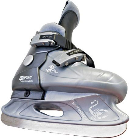 tempish_expanze_silver_4